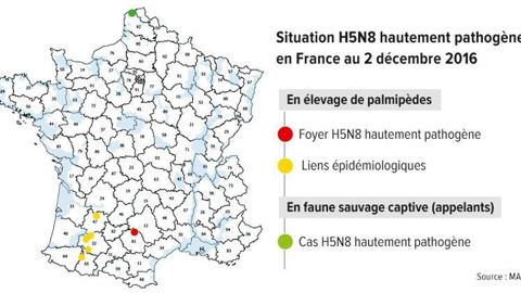 © Infographie GFA